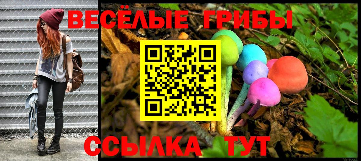 Галлюциногенные грибы мицелий Биробиджан