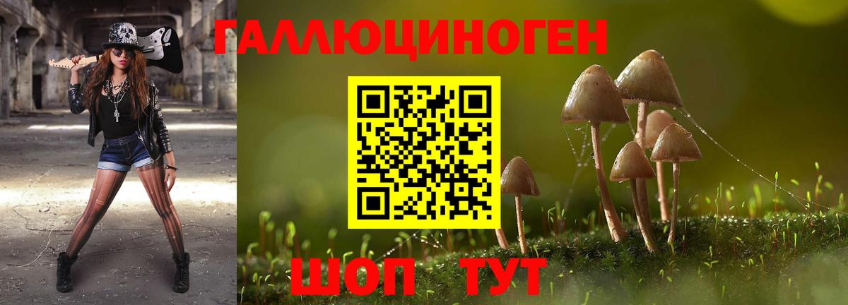 Биробиджан  Псилоцибиновые грибы Magic Shrooms  Псилоцибиновые грибы мицелий  Вход с VPN 