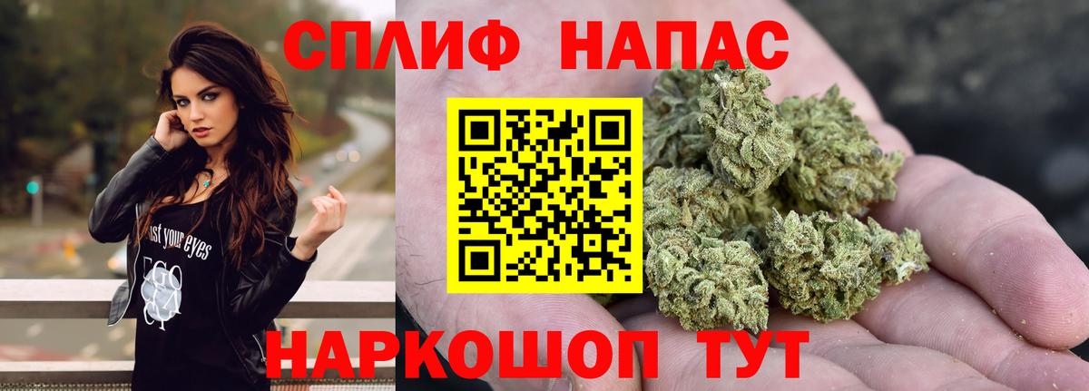 Биробиджан  Бошки марихуана White Widow  Бошки марихуана планчик  Вход с VPN 